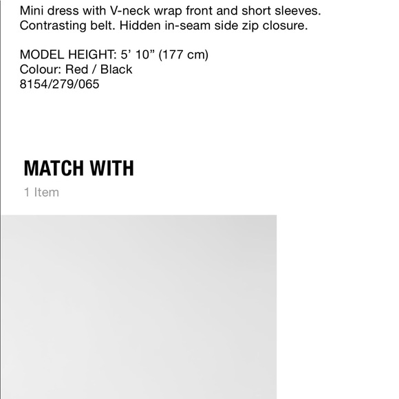 Zara belted plaid dress bloggers favorite - Picture 9 of 9